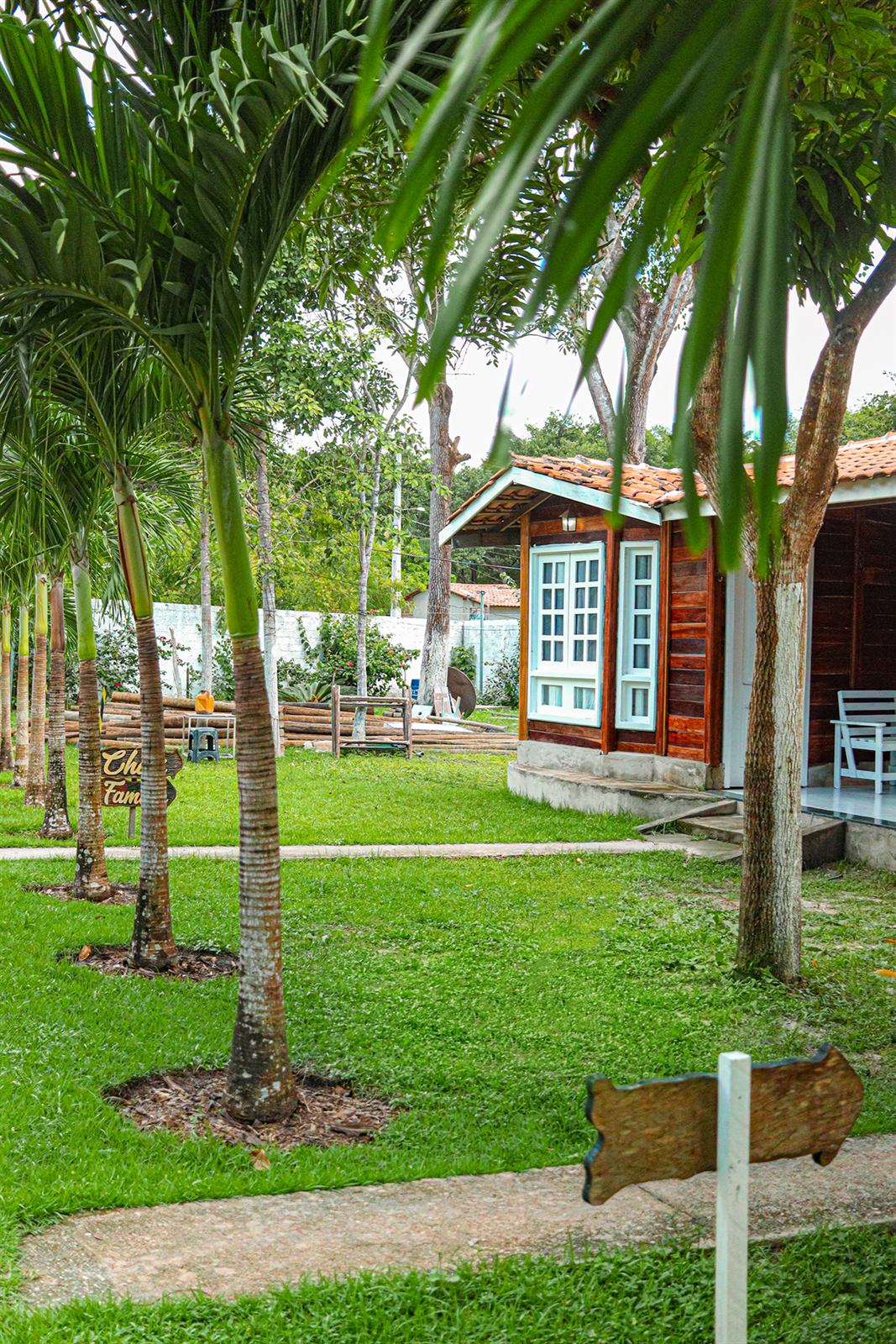 Balanço no jardim