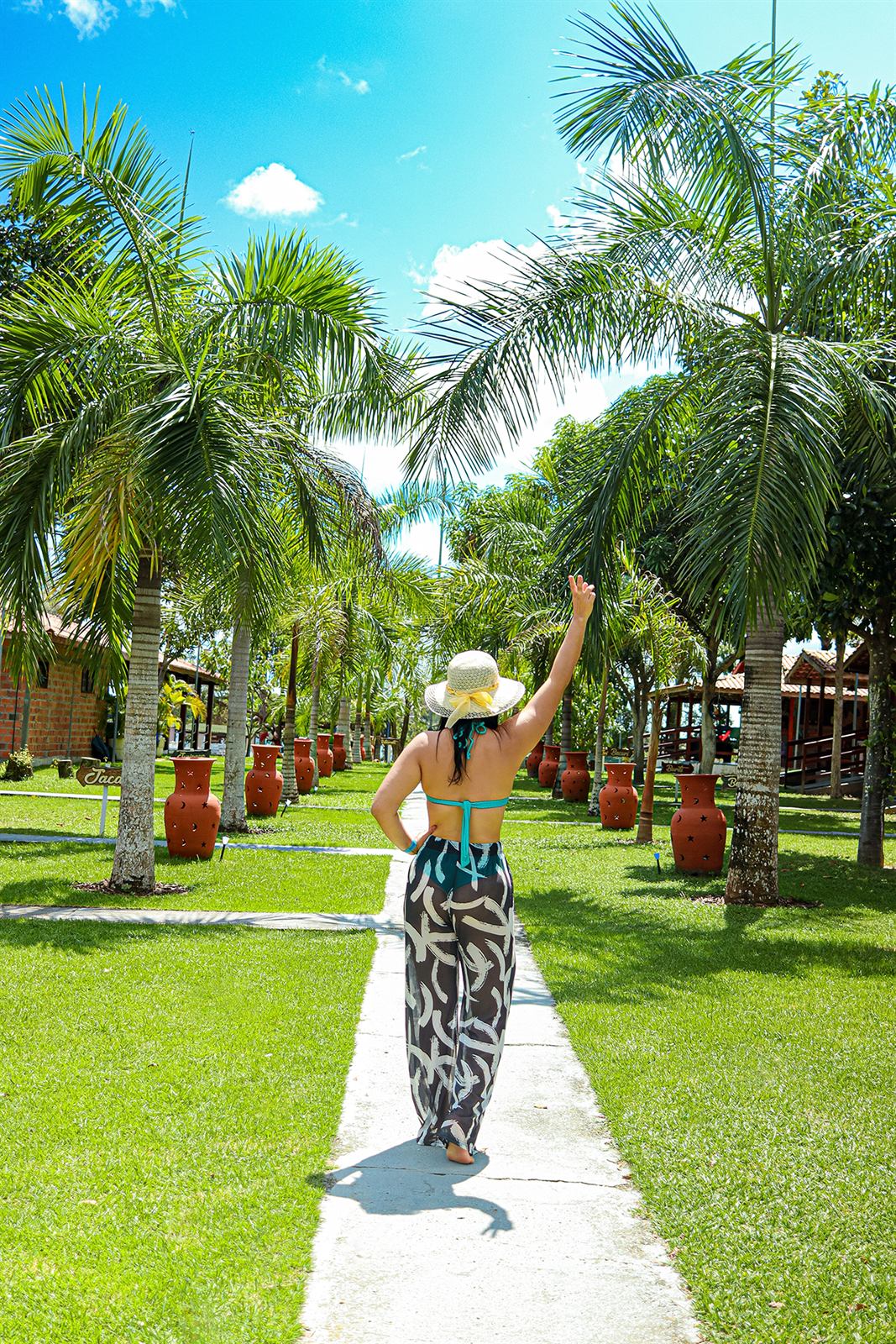 Jardim e caminho